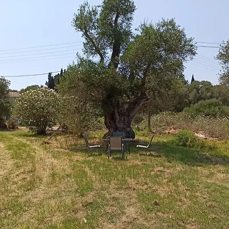 Summer Desire Aparthotel