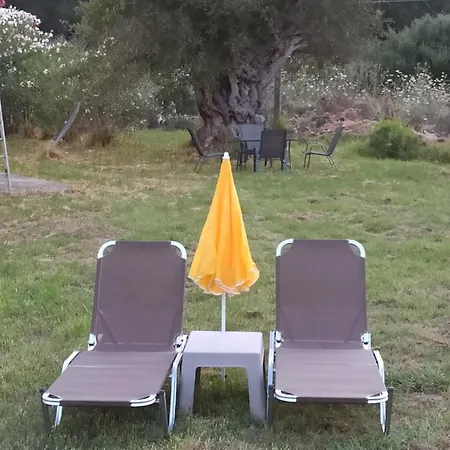 Summer Desire Kávos