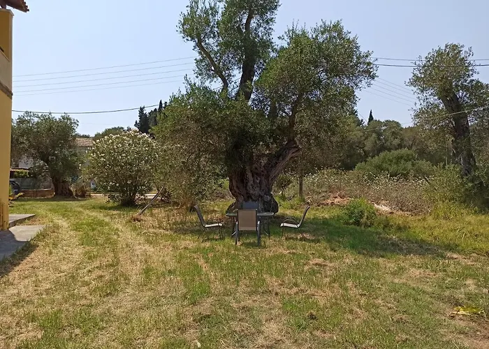 Summer Desire Lejlighedshotel