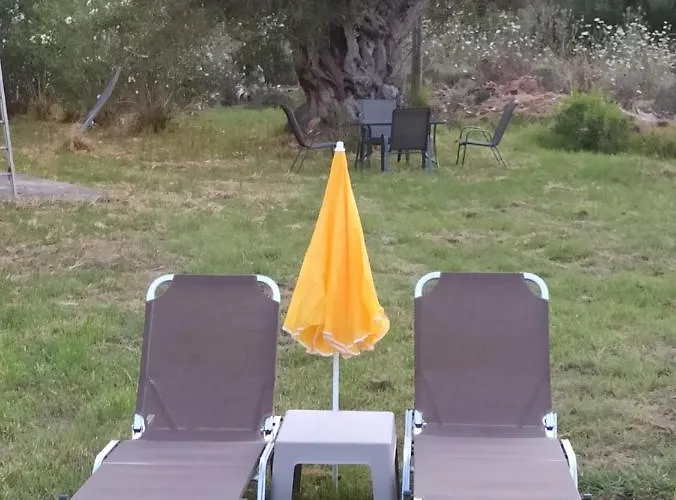 Summer Desire Kávos